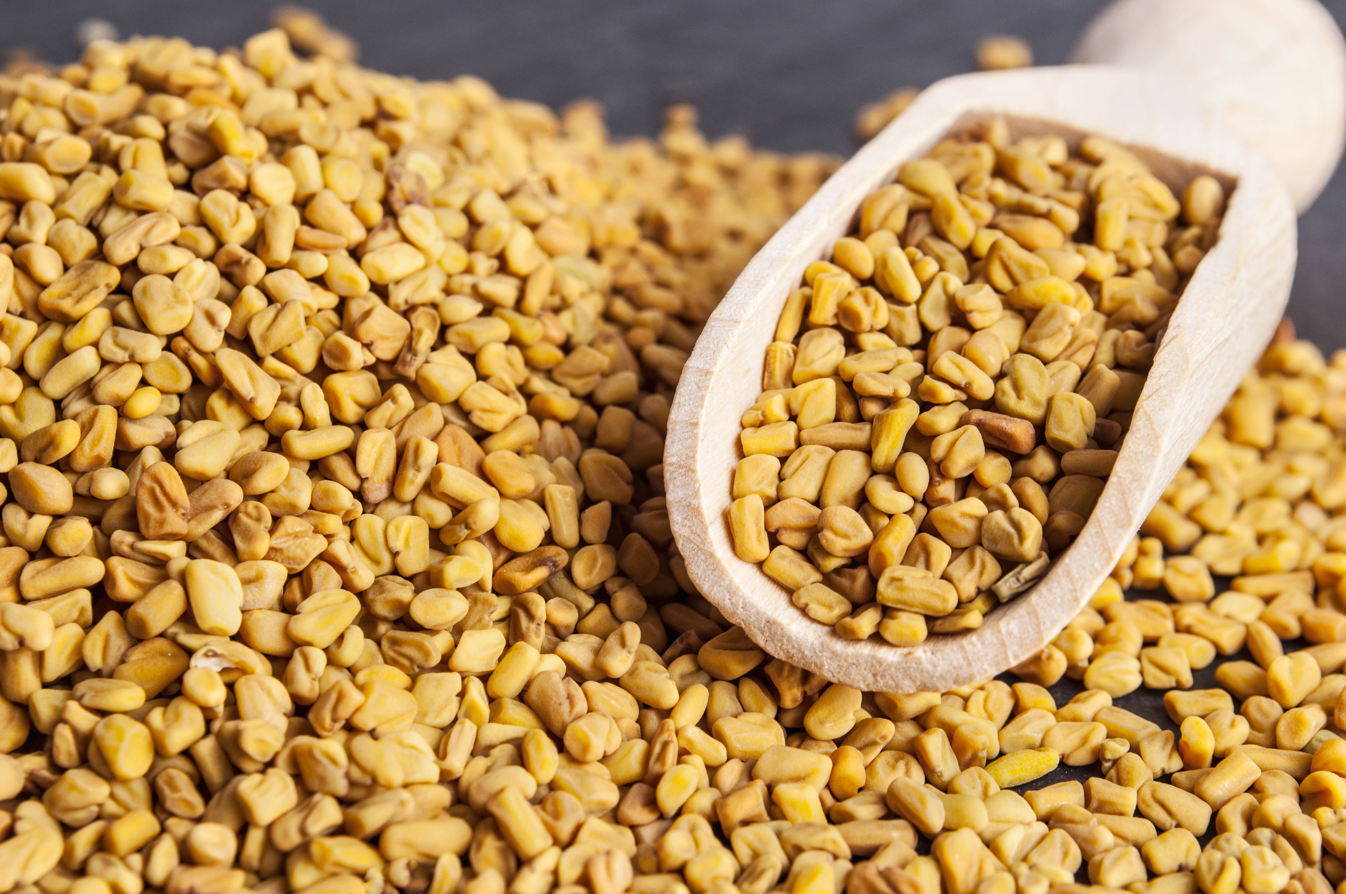 fenugreek